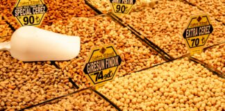 Turkish Pet Products Wholesale For Online Stores: Secrets Revealed!