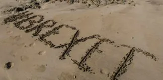 How Brexit Affects Turkish Exports to the UK: Surprising Insights