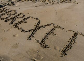 How Brexit Affects Turkish Exports to the UK: Surprising Insights