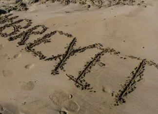 How Brexit Affects Turkish Exports to the UK: Surprising Insights