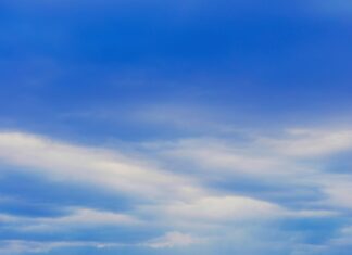 Turkish Export Industry: Uncover Future Trends and Powerful Forecasts