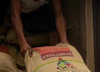 Turkish Sustainable Fashion Industry: Why Bulk Importers Should Care