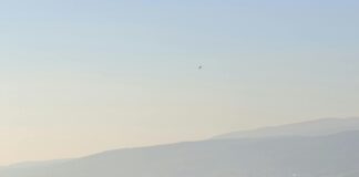 Using Freight Consolidation When Importing From Turkey: Unlock Big Savings