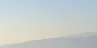 Using Freight Consolidation When Importing From Turkey: Unlock Big Savings