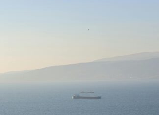 Using Freight Consolidation When Importing From Turkey: Unlock Big Savings