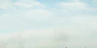 Turkish Water Filters And Dispensers: Wholesale Breakdown Insights