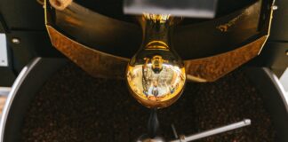 Turkish Organic Food Processing Industry: Secrets Wholesalers Must Know