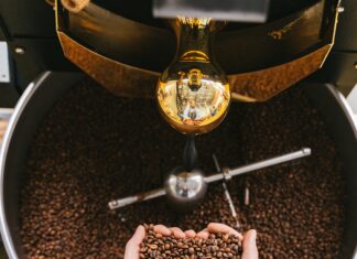 Turkish Organic Food Processing Industry: Secrets Wholesalers Must Know