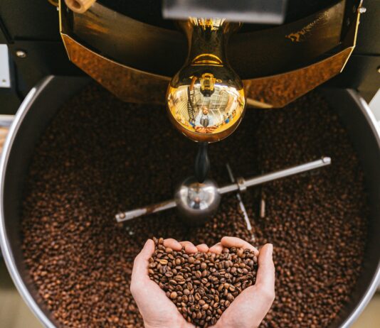 Turkish Organic Food Processing Industry: Secrets Wholesalers Must Know