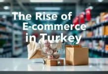 The Rise of E-commerce in Turkey: A Wholesale Perspective The Rise of E-commerce in Turkey: A Wholesale Perspective